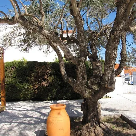 House With 3 Bedrooms In With Wonderful Sea View Enclosed Garden And Wifi 2 Km From The Beach *